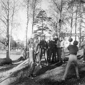 Unga gossar kasta boll i skogsdunge i Baronbackarna, 1960-tal