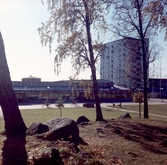 Centrum i Baronbackarna sett från skogsdunge, 1960-tal