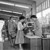 Kunder i kassan på mataffären Vivo i Baronbackarna, 1960-tal