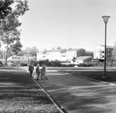 Småbarn på cykel- och körväg genom Baronbackarna, 1960-tal
