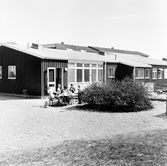 Daghem i Baronbackarna, 1960-tal