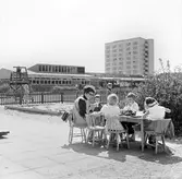 Dagisbarn med fröken vid daghemmets lekplats i Baronbackarna, 1960-tal