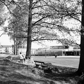 Mor och barn på parkbänk i Baronbackarna, 1960-tal