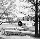 Daghem i Baronbackarna, 1960-tal