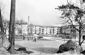 Barn leker på gräsmatta i Baronbackarna, 1960-tal
