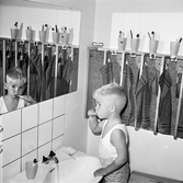 Tandborstning på daghem i Varberga, oktober 1967
