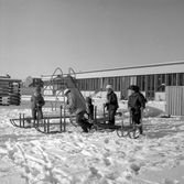 Barn med kälkar vid daghem i Varberga, oktober 1967