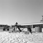 Lek med kälke och klättring vid daghem i Varberga, oktober 1967