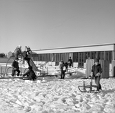 Lekande barn med snöbollar och kälke vid daghem i Varberga, oktober 1967