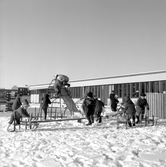 Lekande barn med kälkar vid daghem i Varberga, oktober 1967
