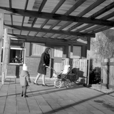 Hämtning av barn vid daghemmet Sidensvansen, oktober 1967