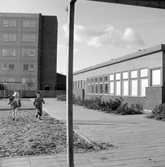 Springande barn vid Sidensvansens daghem, oktober 1967