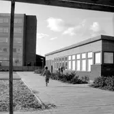 Barn vid daghemmet Sidensvansen, oktober 1967