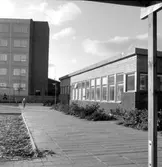 Sandlåda och gång vid daghemmet Sidensvansen, oktober 1967