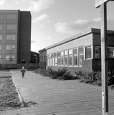 Litet barn på väg till daghemmet Sidensvansen, oktober 1967