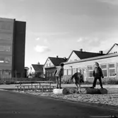Barn leker på stockar i sandlådan vid daghemmet Sidensvansen, oktober 1967
