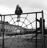 Barn klättrar i klätterställningen spindelnät vid daghemmet Sidensvansen, oktober 1967