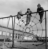 Flera barn klättrar i spindelnätet vid daghemmet Sidensvansen, oktober 1967