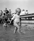 ...

385 bilder om Linköping på 1950-talet från tidningen Östgötens arkiv. Framtidstro och optimism är ord som sammanfattar Linköping på femtiotalet. Årtiondet innebar satsningar för att förbättra linköpingsbornas livsvillkor. Bostadsfrågan och trafiklösningarna dominerade den lokalpolitiska agendan.
Bilderna digitaliserades år 2013.

