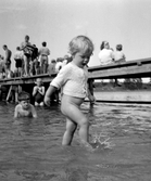 ...

385 bilder om Linköping på 1950-talet från tidningen Östgötens arkiv. Framtidstro och optimism är ord som sammanfattar Linköping på femtiotalet. Årtiondet innebar satsningar för att förbättra linköpingsbornas livsvillkor. Bostadsfrågan och trafiklösningarna dominerade den lokalpolitiska agendan.
Bilderna digitaliserades år 2013.

