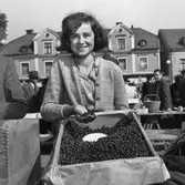 Iris Andersson från Björkhamra i Stjärnorp säljer blåbär på Stora torget i Linköping