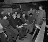 Tvådagars kurs i virkessortering