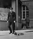 Andfamilj får poliseskort i Linköping år 1953