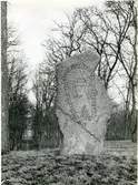 Björksta sn, Målhammar.
Baksidan av runstenen i Målhammars park.