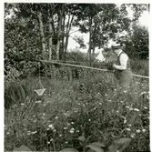 Björksta sn, Frögärde. 
Kräftfiske, 1937.