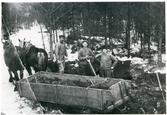 Björksta sn, Vallens gård. 
Mo- och gruskörning. Början av 1930-talet.