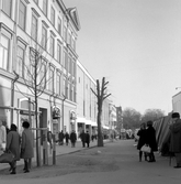 Öppen yta bakom marknadsstånden på Hindersmässan, 1960-tal