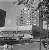 Krämaren med dess två höghus sett från Rudbecksgatan, 1963-1964