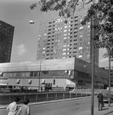 Krämaren med dess två höghus sett från Rudbecksgatan, 1963-1964