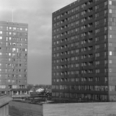 Krämarens två höghus med takterass, 1960-tal