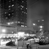 Julgran på Krämartorget vid Krämaren trappa, 1960-tal