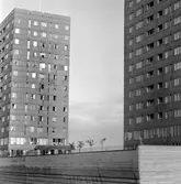 Krämarens takterass anas mellan höghusen, 1960-tal