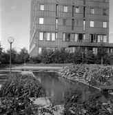 Krämaren takterass med planteringar och dammar, 1960-tal