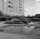 Parkbänk på Krämarens takterass, 1960-tal