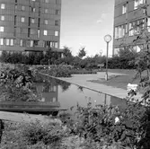 Krämaren takterass med plantreringar och dammar, 1960-tal