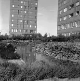 Damm mellan planteringarna på Krämarens takterass, 1960-tal