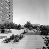 Lekplats på Krämarens takterass, 1960-tal