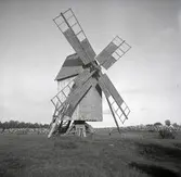 Borg, ängen. Vattningsplats nordväst om Gråborg.