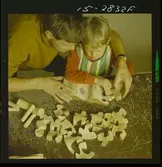 2772/7 Svenska Institutet  Hemsjukvård, Tomteboda Institu.