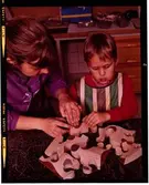 2772/11 Svenska Institutet Dia-positiv Tomteboda Hemsamarit