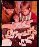 2772/11 Svenska Institutet Dia-positiv Tomteboda Hemsamarit