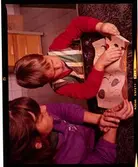 2772/11 Svenska Institutet Dia-positiv Tomteboda Hemsamarit