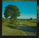 2773 B.M.W. Småland