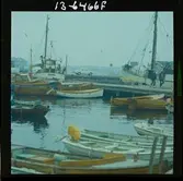 2773/1 B.M.W. Västkusten