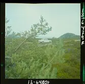 2773/1 B.M.W. Västkusten