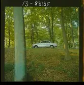 2273/4 B.M.W. (Förenade bil) Skåne